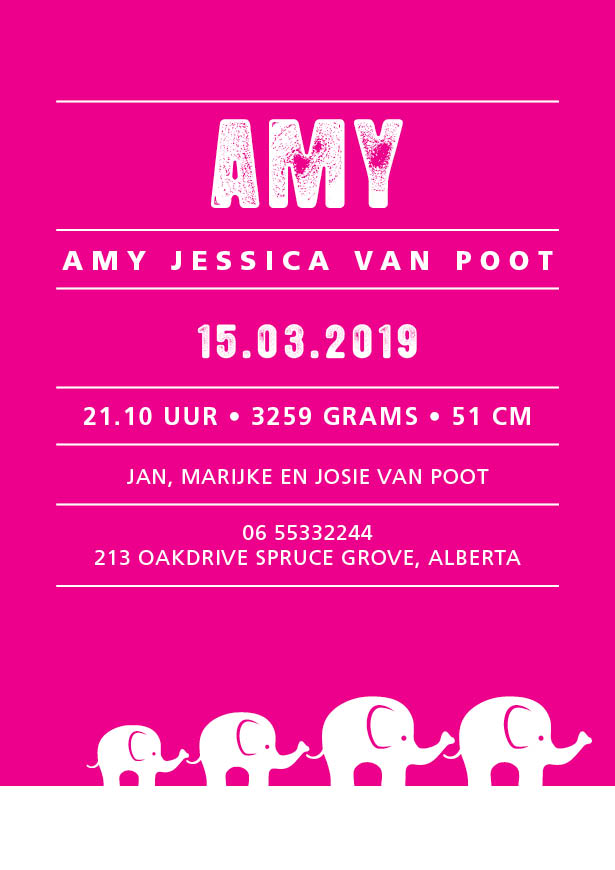 Geboortekaartje Amy