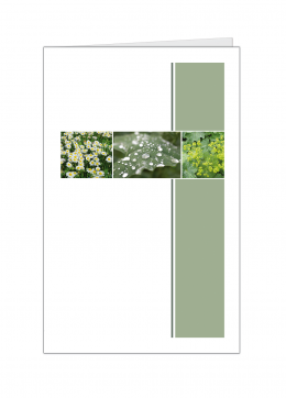 tuinbloemen-kleine-kaart